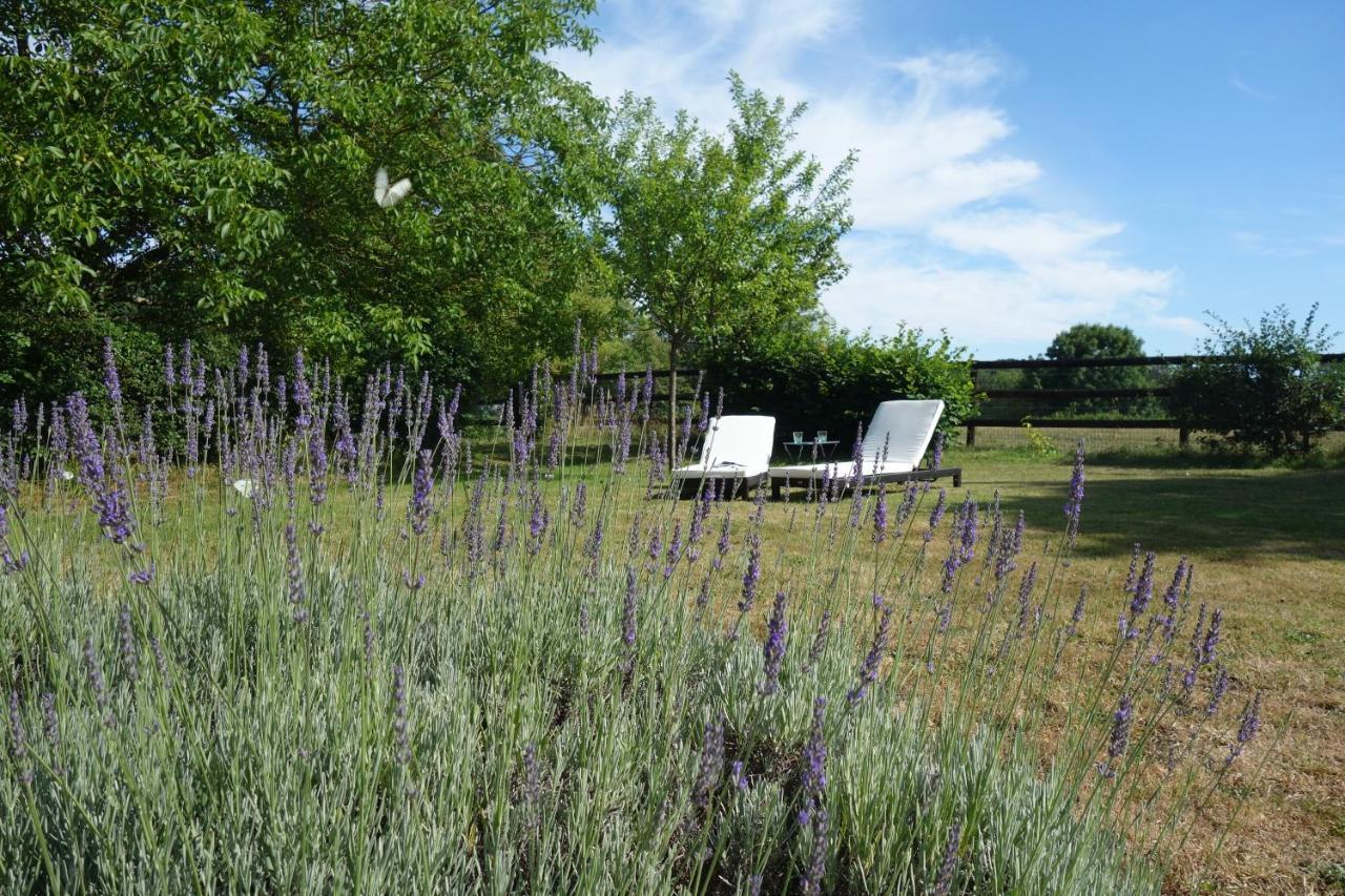 Le Cottage Du Coudray, Gite Avec Chalet Sauna La Fresnaie-Fayel Eksteriør bilde